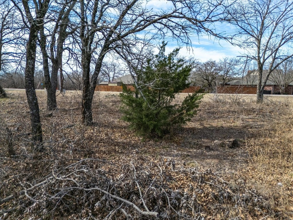 Picture 7