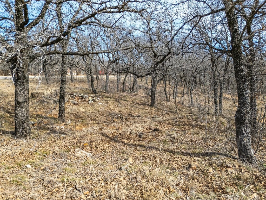 Picture 9