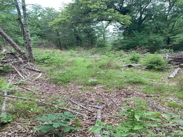 Picture 3