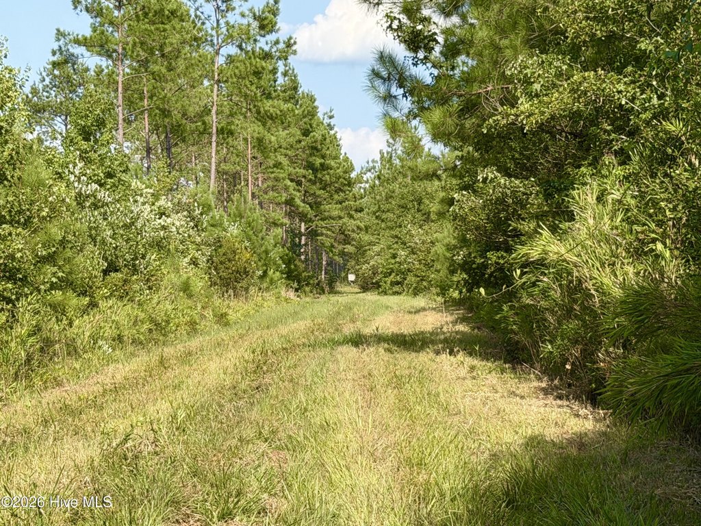 Picture 8