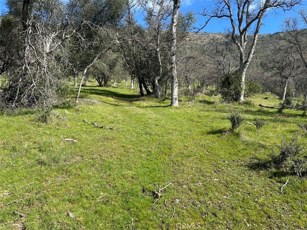 Picture 30