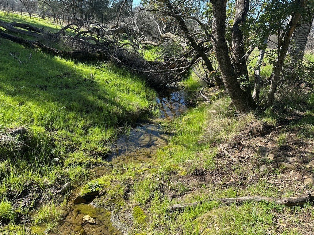 Picture 18