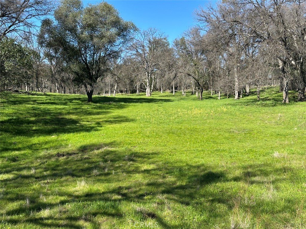Picture 25