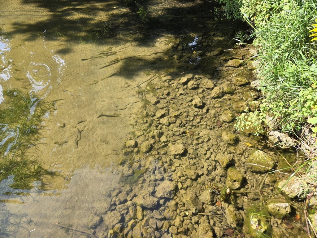 Picture 5