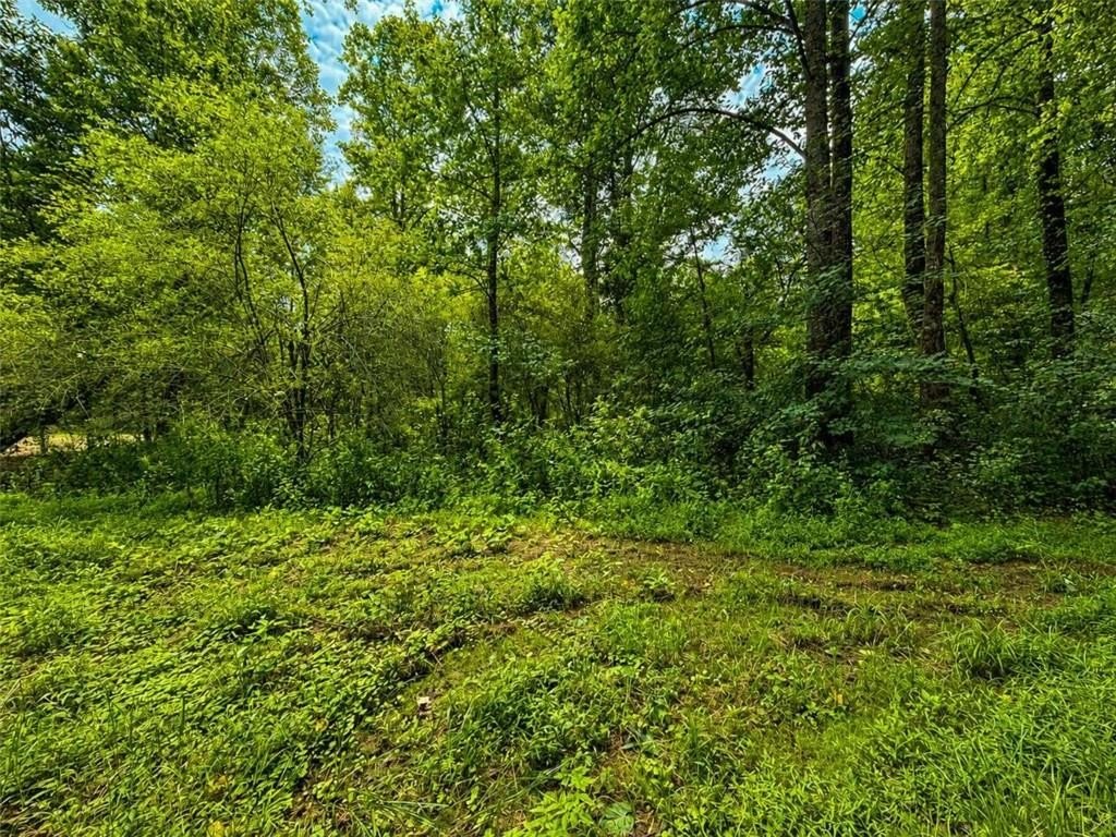 Picture 21