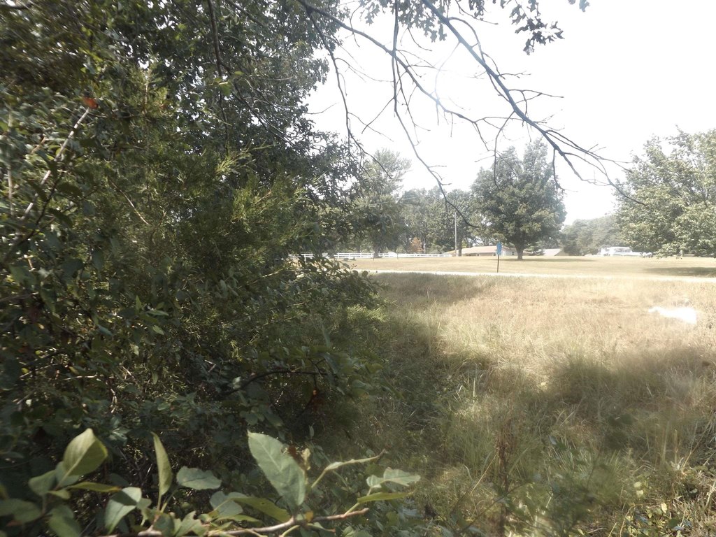 Picture 2