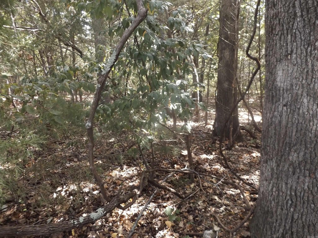 Picture 4