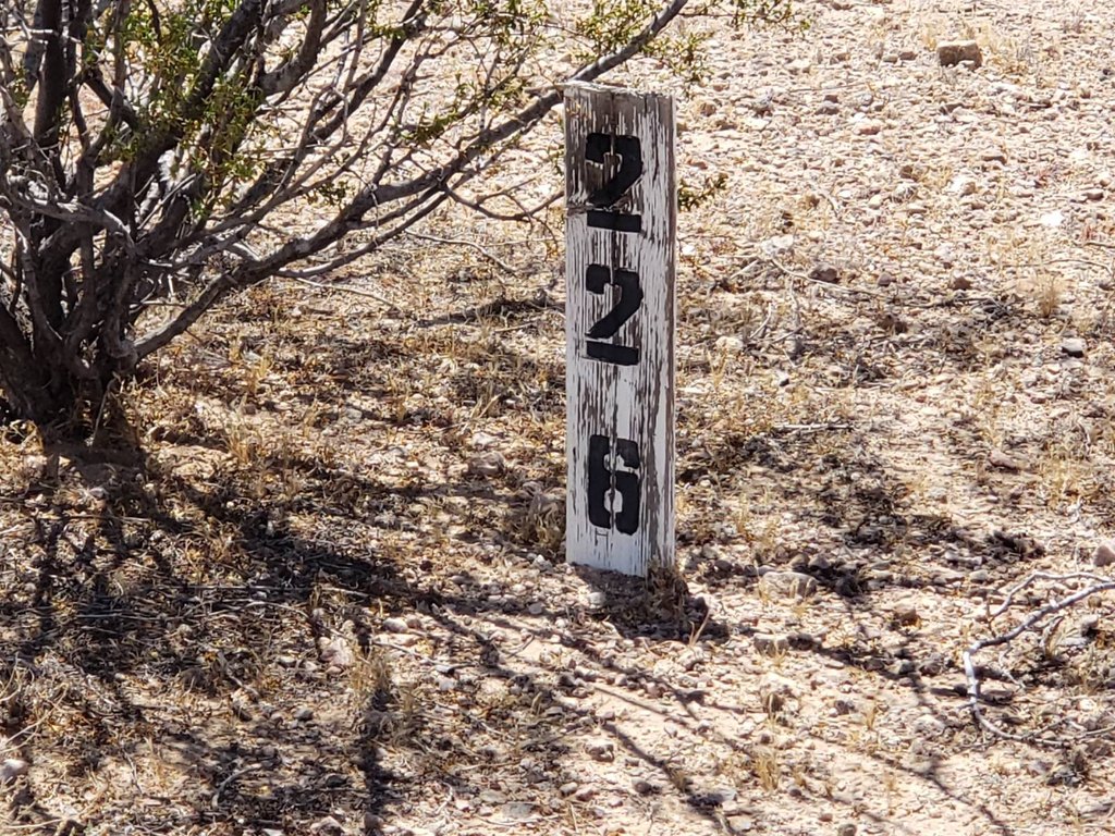 Picture 12