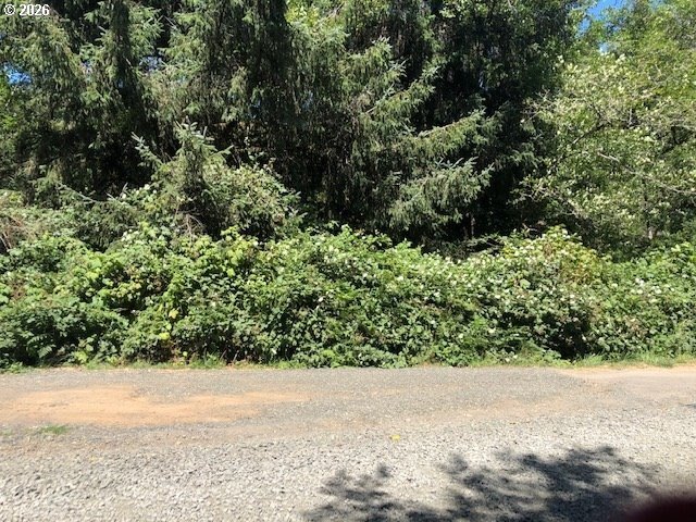 Land in Cedar Crest Subdivision
