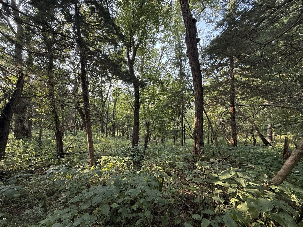 Picture 21