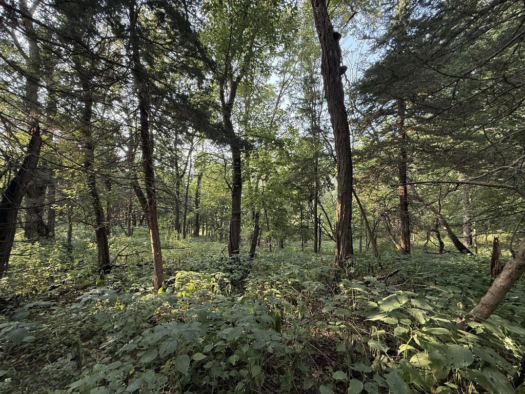 Picture 21