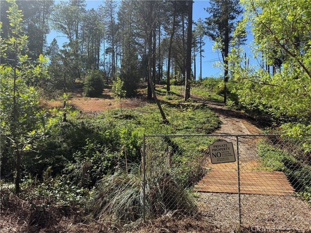 Residential Land by Year-Round Creek