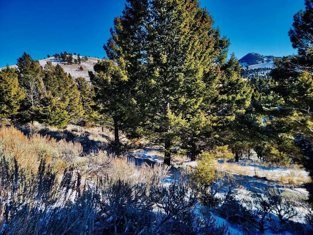 Basin, MT Land For Sale