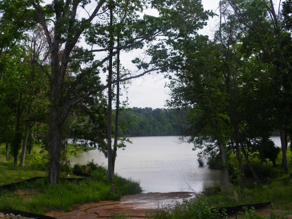 Picture 15