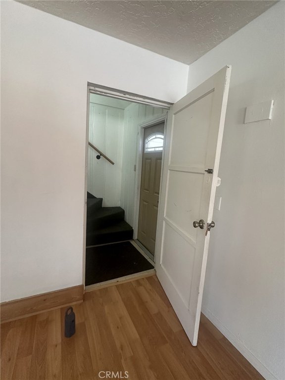 Picture 12