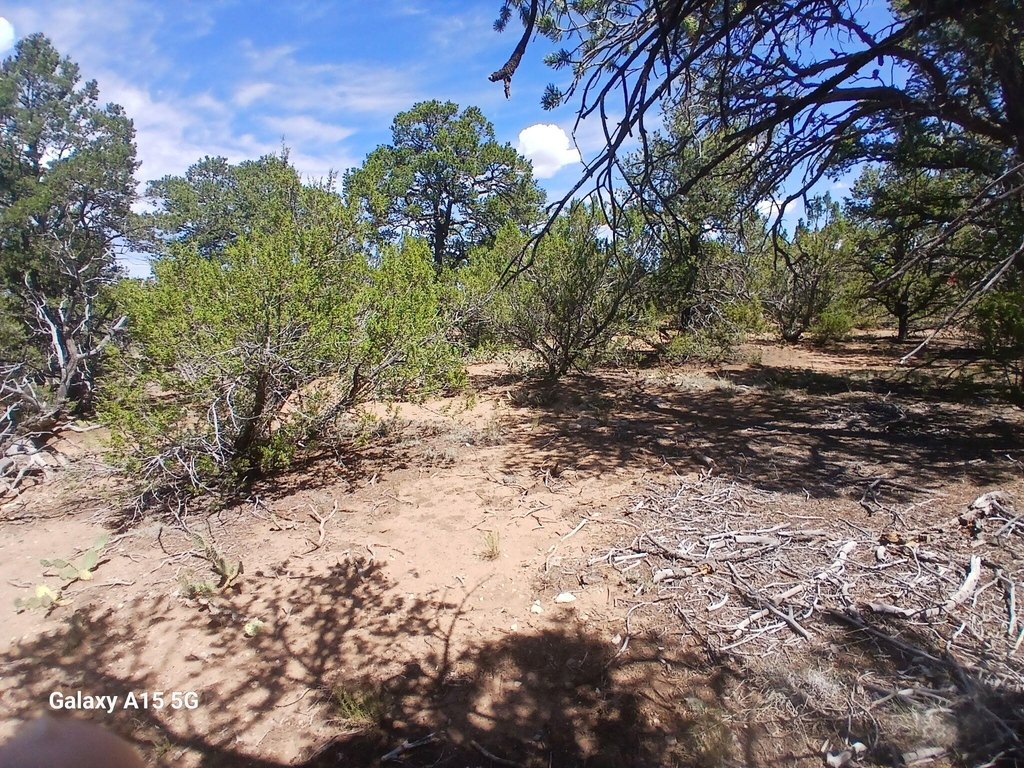 Picture 7