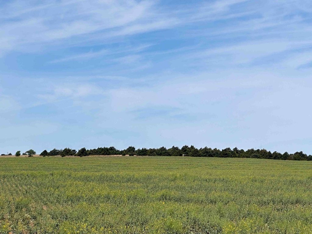 Picture 22