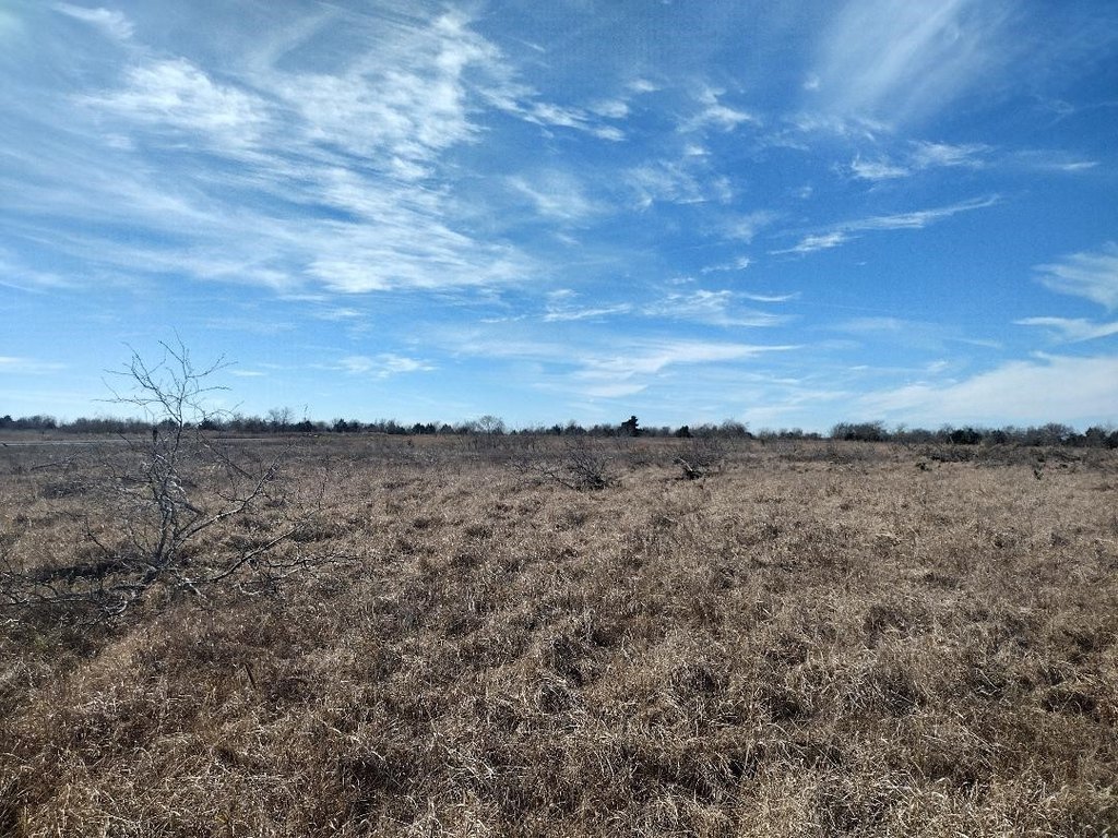 Picture 3