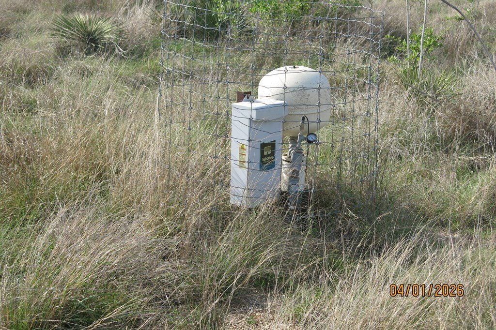 Picture 10