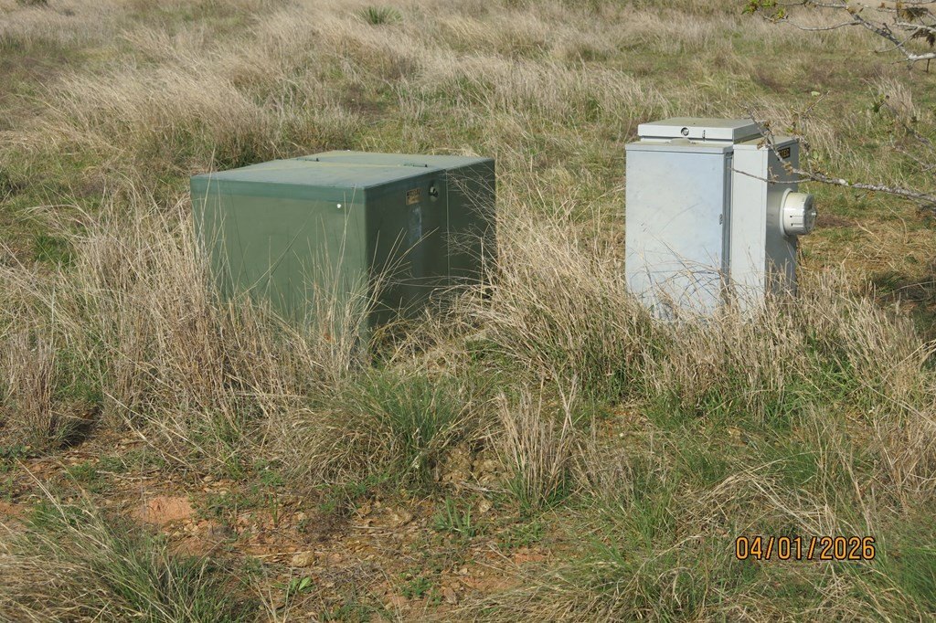 Picture 9