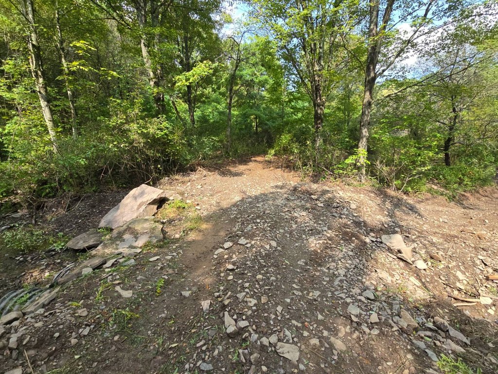 Picture 24