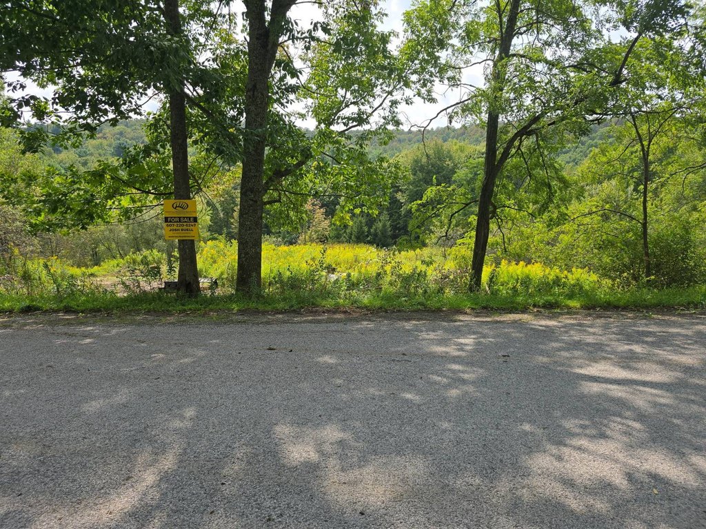 Picture 30