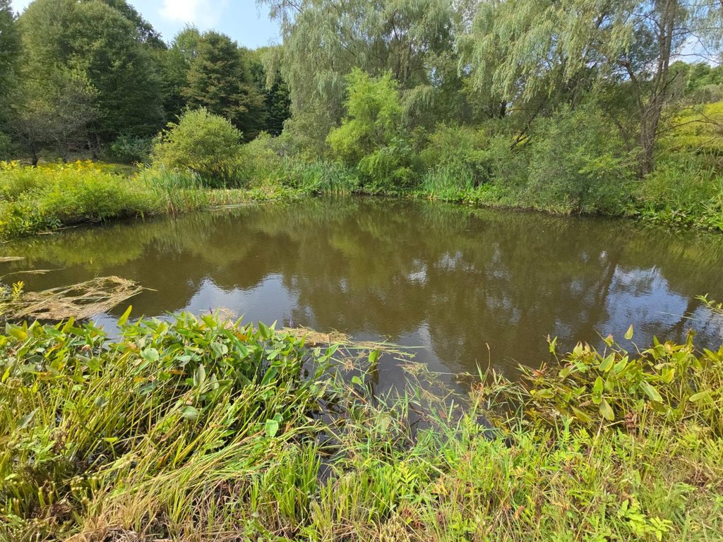 Picture 28