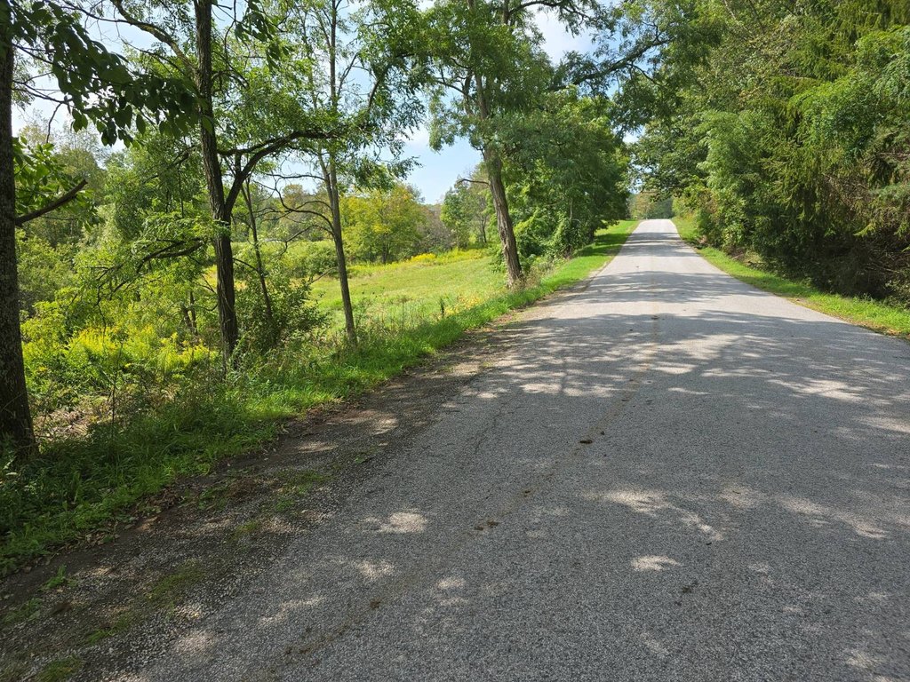 Picture 31