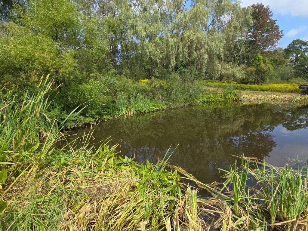 Picture 27