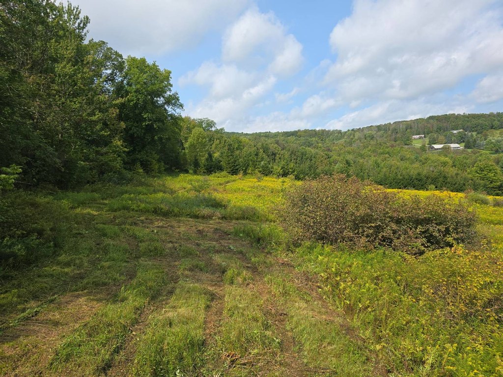 Picture 6