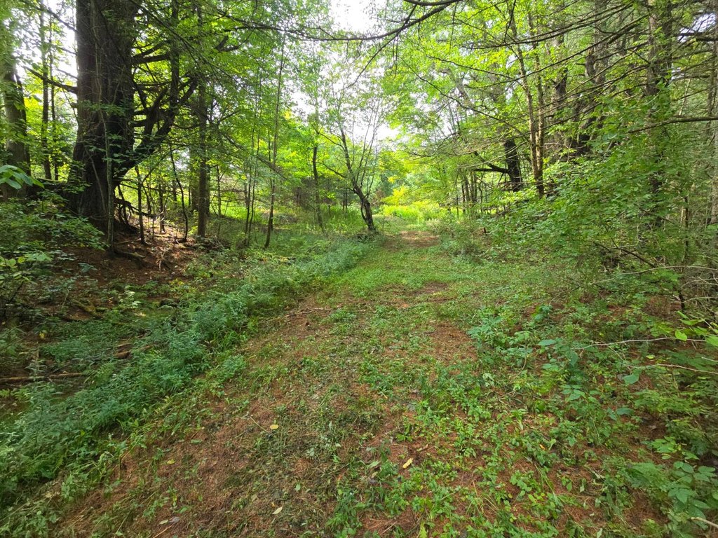 Picture 19