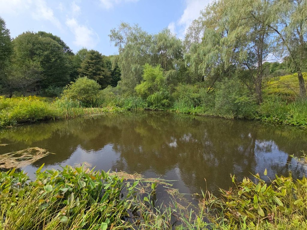 Picture 29