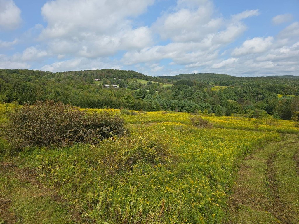 Picture 7
