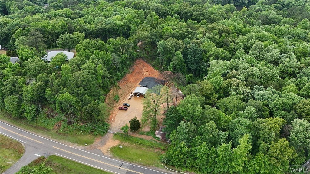 Picture 10