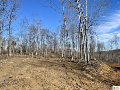 Clarkson, KY Acreage Near Nolin