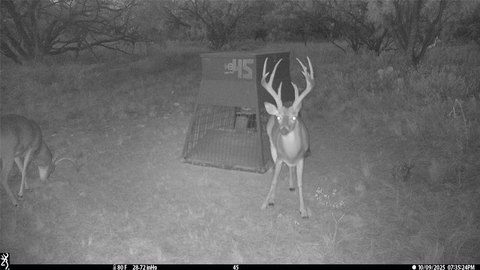 Turn-Key Hunting and Recreational Property