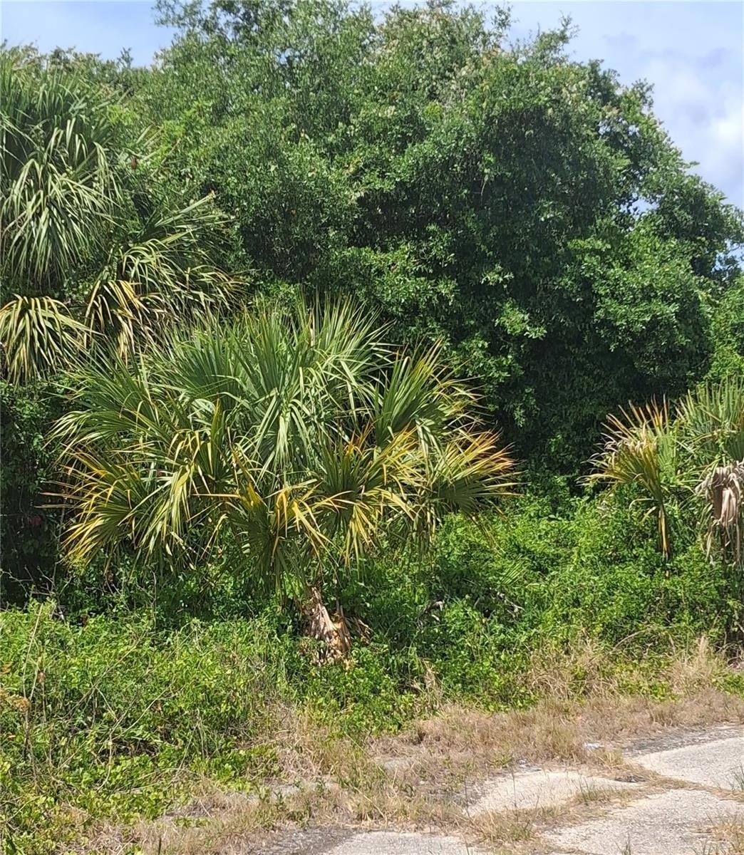 Corner Lot in North Port