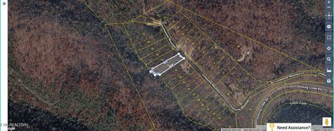 Lots & Acreage, Pioneer, TN