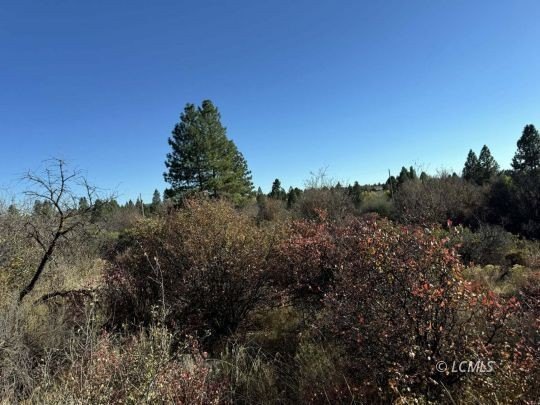 Land Near Lake and Golf