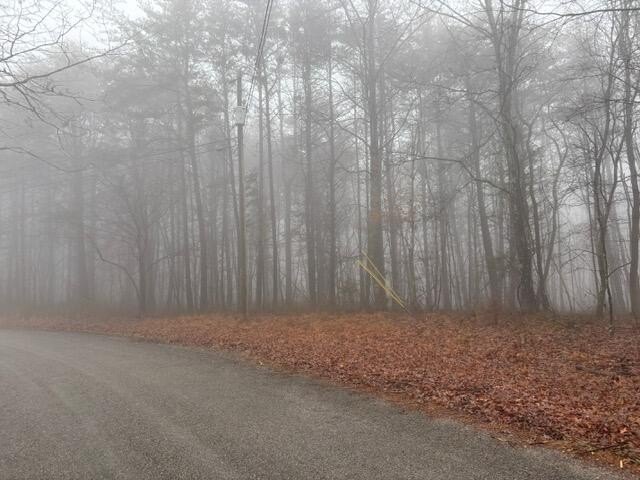 Unrestricted Land with Creek Access