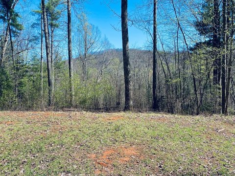 Sylva, NC Land For Sale