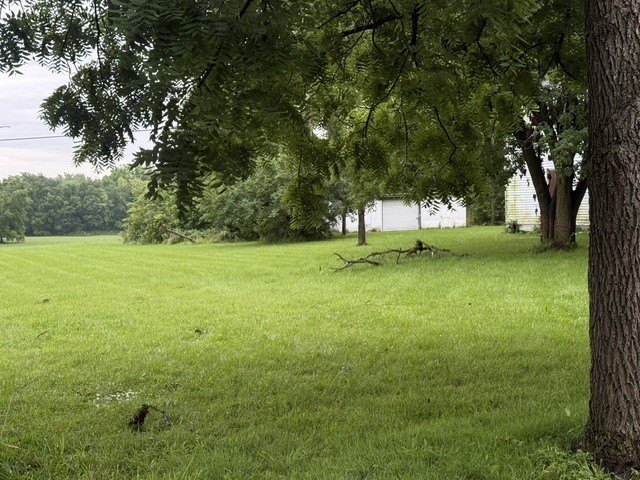 Picture 10