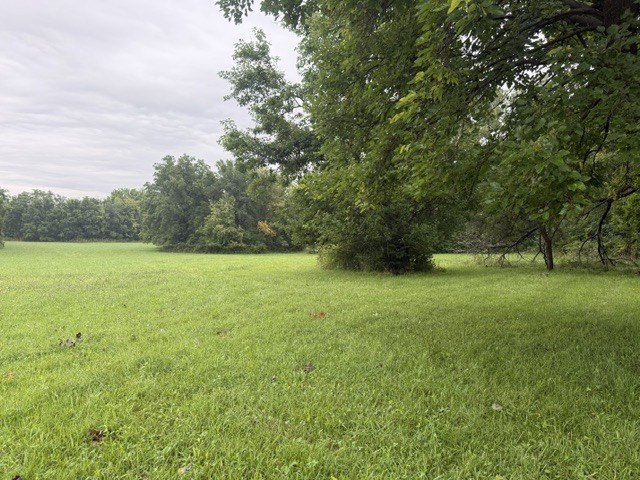 Picture 4