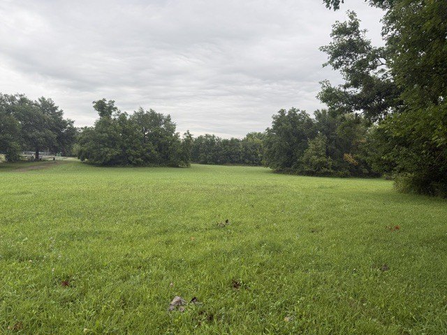 Picture 12