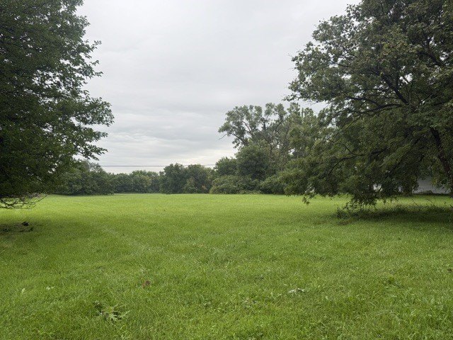 Picture 9