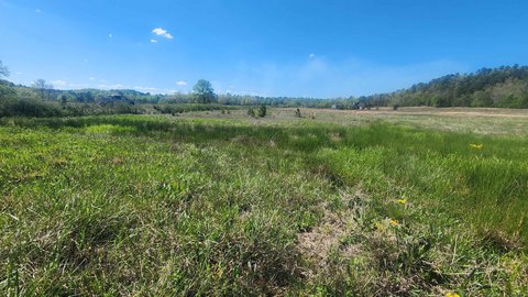 Land Near Ouachita National Forest