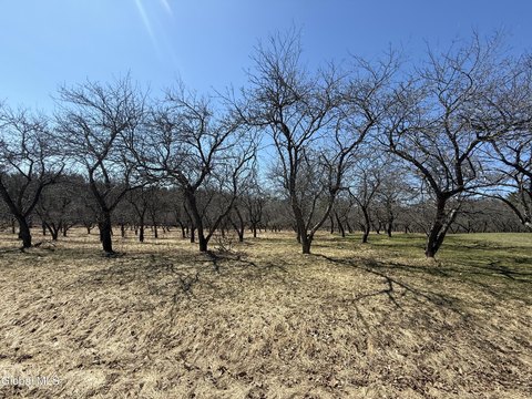 6.75 Acres in Galway, NY