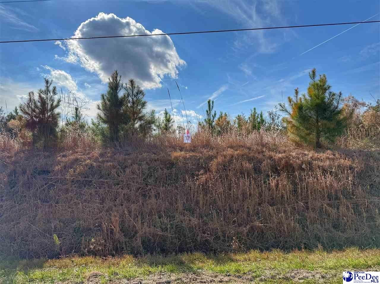 Residential Lot in Dillon, SC