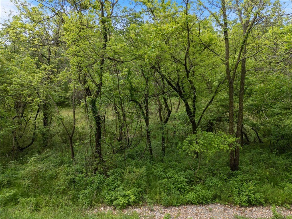 Picture 10