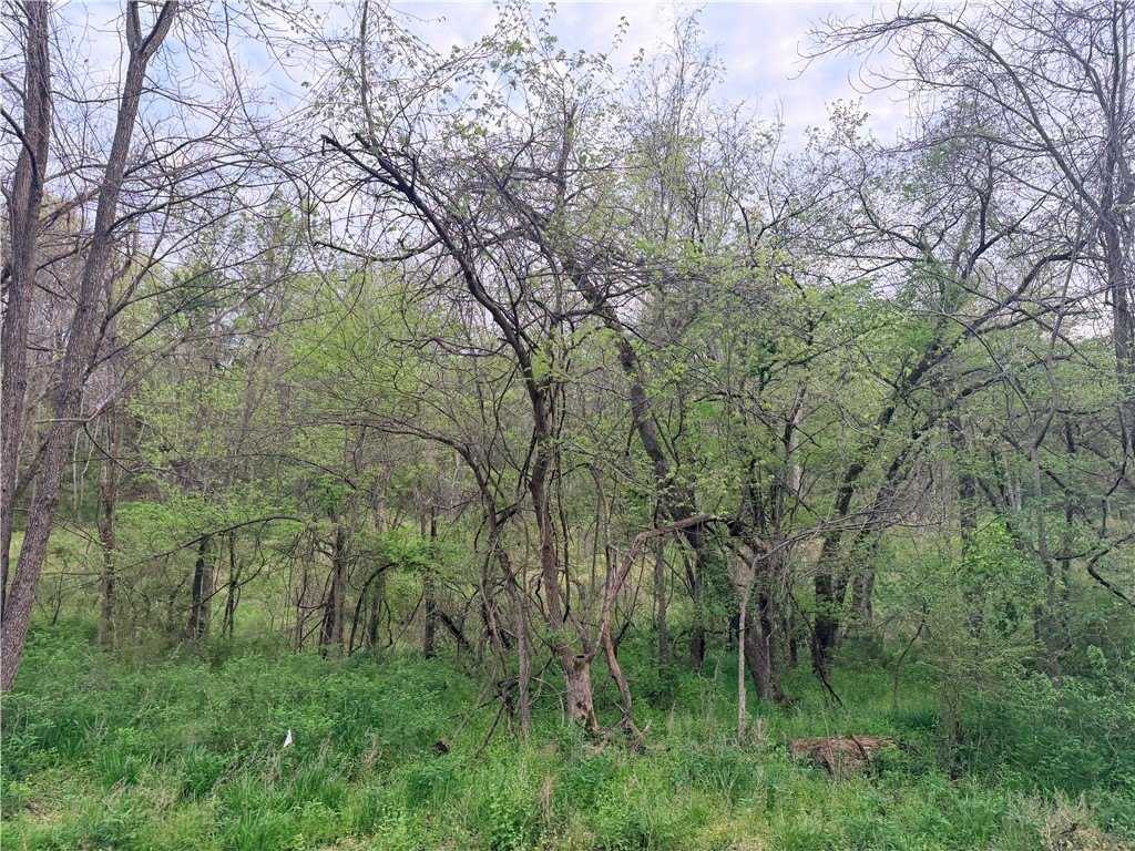 Picture 9